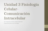 Unidad 3 Fisiología Celular-Comunicación Intracelular