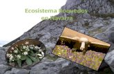Ecosistema roquedos en Navarra