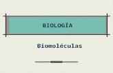 04 bioelementos-y-biomoleculas (2)