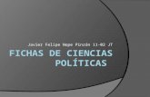 Fichas de ciencias políticas