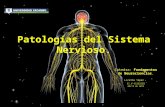 Patologias del sistema nervioso t9
