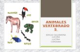 Animales vertebrados: mamiferos, aves, reptiles