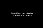 Gonzalez hernandez cynthia lizbeth veracruz