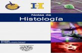 Notas de histologia 2014