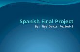 Nya spanish final