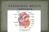 Fisiología básica cardiaca