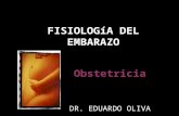 Go Clase 19 Fisiologia Del Embarazo Dr Oliva