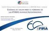 Cadenas de valor para el fomento de las pymes rurales exportadoras: La experiencia del FIRA de México