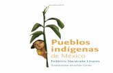 Pueblos indigenas mexico_navarrete_c1