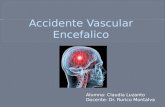 Seminario N° 10 Accidente vascular encefalico