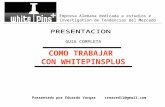Whitepinsplus Guia completa En Español