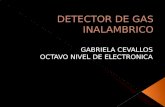 Detector De Gas Inalambrico