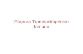 Purpura trombocitopenico