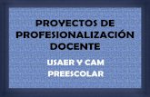 2. proyectos de profesionalizacion