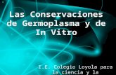 Las conservaciones de germoplasma y de in vitro