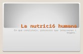 La Nutrició Humana