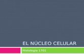 El NúCleo Celular