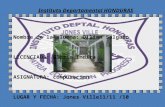 Instituto Departamental Honduras