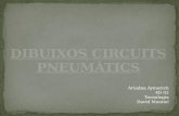 Dibuixos dels circuits pneumàtics