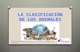 Conferencia 2ºEPO Clasificación Animales