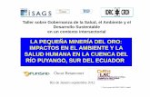 Oscar Betancourt - La pequeña minería del oro: impactos en el ambiente y la salud humana en la cuenca del río Puyango, sur del Ecuador