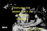 40743186 exploracion-neurologica