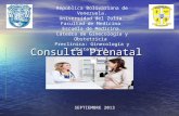 Consulta Prenatal