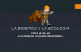 Bioetica y ecologia