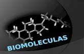 Biomoleculas 1