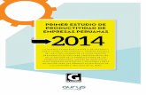 Primer estudio de productividad de empresas peruanas