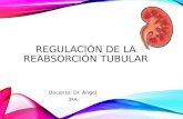 Regulacion de la reabsorcion tubular