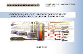 Módulo de Aprendizaje: Petróleo y Polímeros (QM30 - PDV 2013)