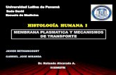 Membrana plasmatica y Mecanismo de transporte