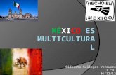 Mexico es multicultural