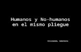 humanos - no humanos