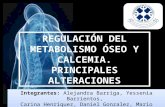 Regulacio de metabobolismo oseo y calcemia
