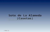 Soto de La Alameda - IES Ángel Sanz Briz