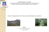 Zonas fitogeograficas de Venezuela