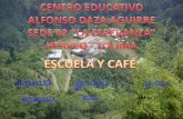 Proyecto  Escuela Y Cafe
