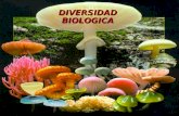 diversidad biologica
