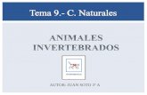 Invertebrados C. NATURALES TERCERO PRIMARIA