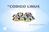 Codigo linux