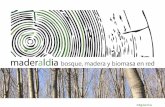 Maderaldia bosque, madera y biomasa en red