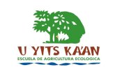 Presentación U Yits Ka'an