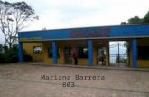 Mariana barrera 803