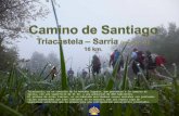 Camino de Santiago.2 (Triacastela-Sarria)
