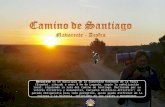 8-Camino de Santiago (Navarrete-Azofra).