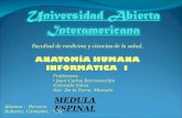 Medula Espinal-Herrera Roberto-Comisión C