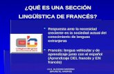 SECCIÓN LINGÜÍSTICA DE FRANCÉS - IES ALFONSO MORENO (BRUNETE, MADRID