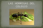 Las hormigas del colegio